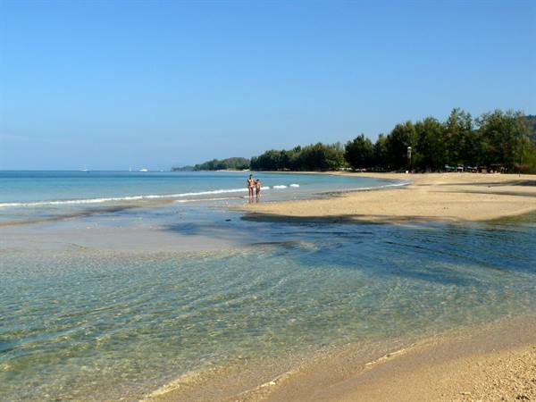 Two people wading by clear turquoise water on sandy beach lined with green trees