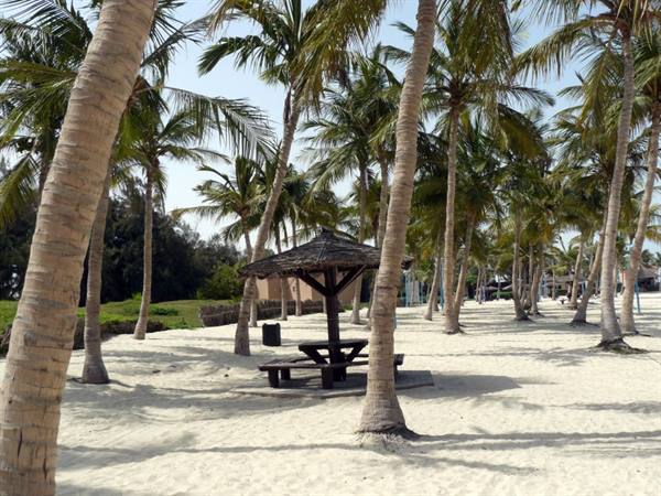 jumeirah beach park