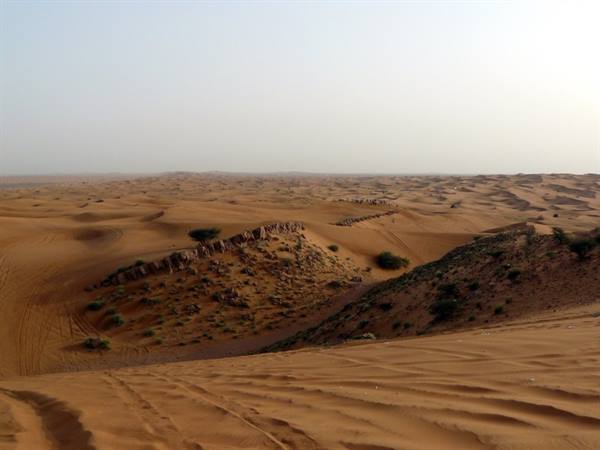 desert