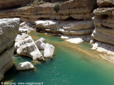 wadi shab