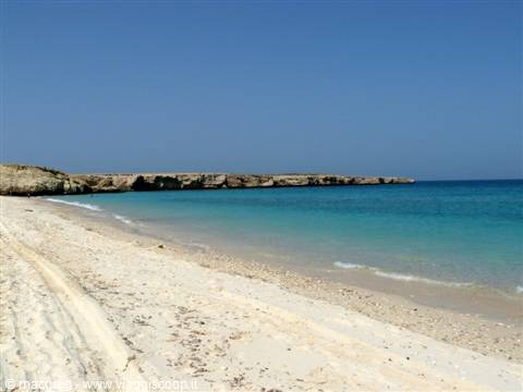white beach