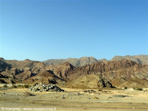 to muscat