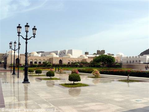 muscat