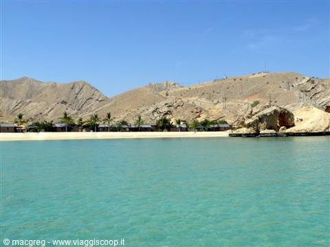 oman dive center