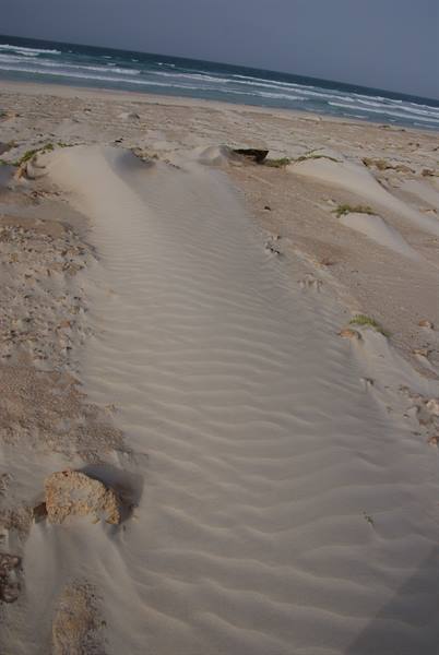 Rippled sand on dune with rocks, ocean waves blurred in background
