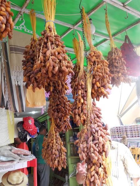 Bunches of dates hanging under the green roof of a market