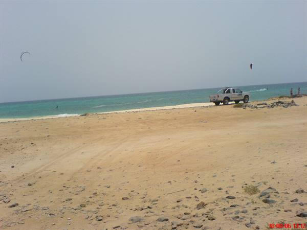 turtle beach