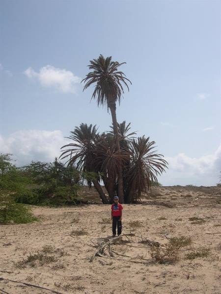 the desert