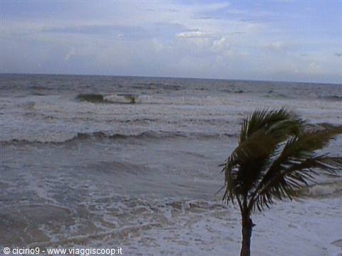 tropical storm