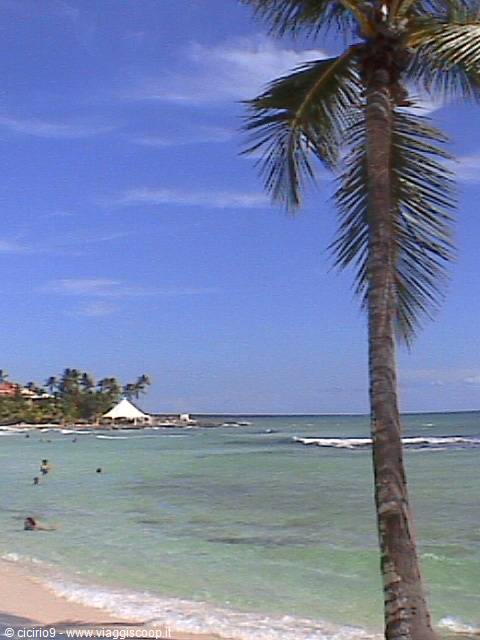 I don't want to go back...