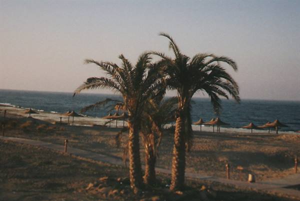 the beach