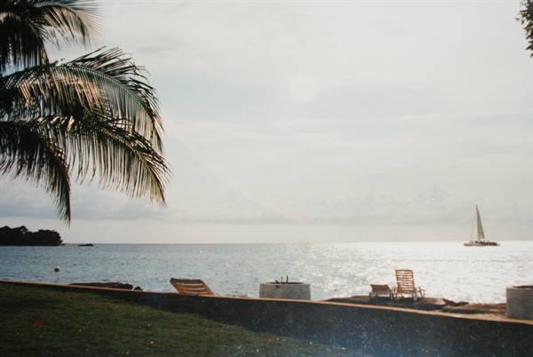 Empty loungers facing the sea, palm tree at left, sailboat in the distance