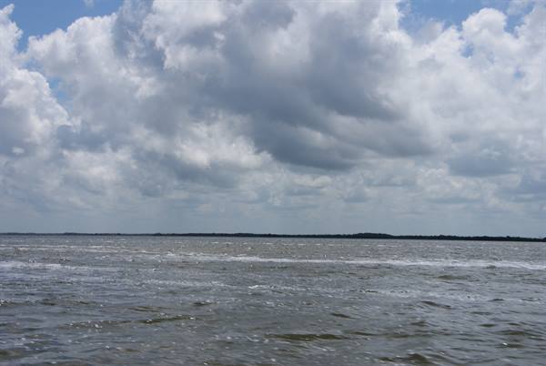 Choppy foamy water under grey cumulus clouds, treeline along the horizon