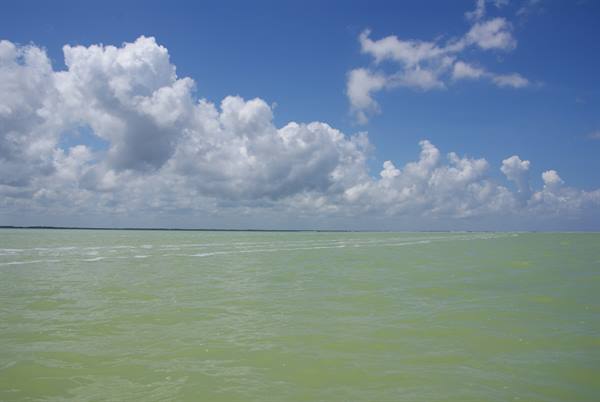 Bright green water under white clouds, a white wake crosses the surface