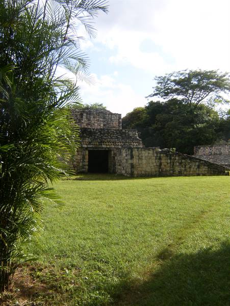 Ancient Maya stone ruins with dark doorway, green lawn and palm tree