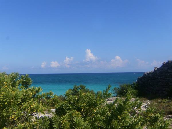 Green bushes by turquoise sea, ancient stone wall on the right