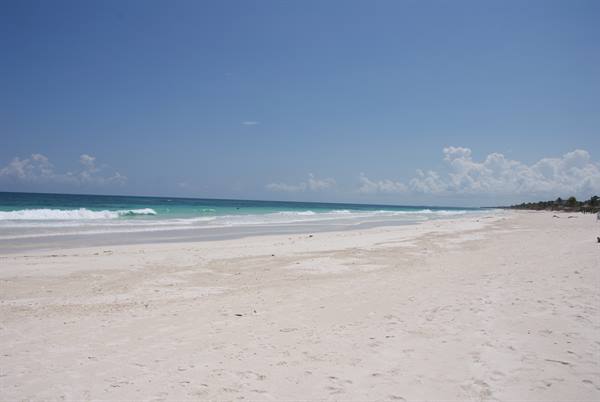 White sand beach with turquoise waves and blue sky, trees in the distance