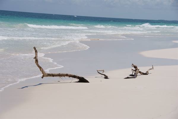 Driftwood branches on white sand, turquoise waves breaking onto the beach