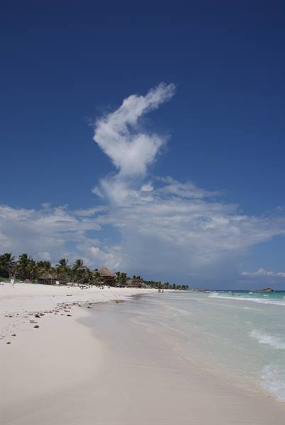 White sand beach with palms and thatched umbrellas, turquoise waves under a cloud