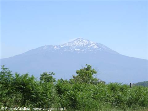 Mount Etna seen from Montalbano (Bosco di Malabotta area)