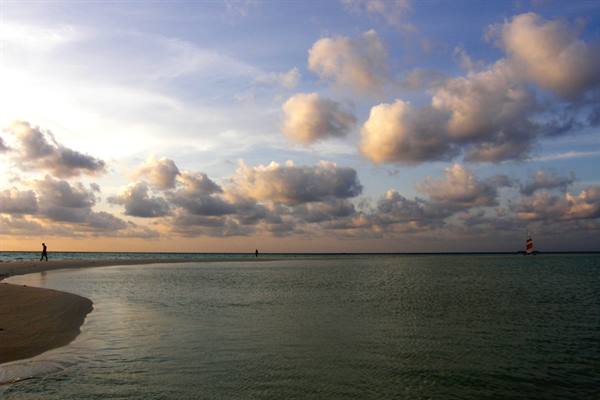 Sandbank off Olhuveli 