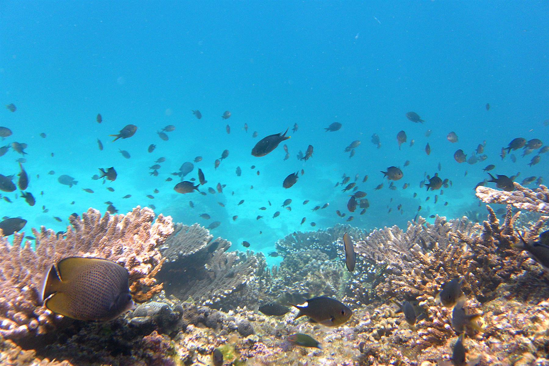 Daymaniyat Islands