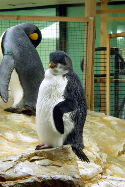 Vienna Zoo 