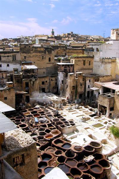 Fes - Guerniz tannery