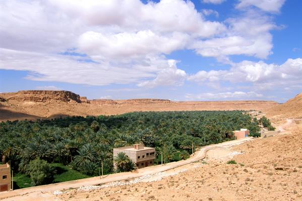 Ziz Valley 