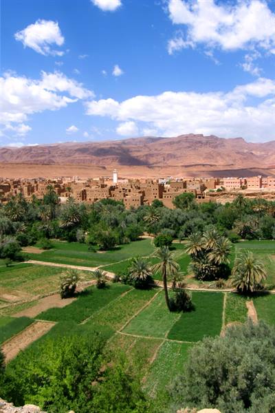 Tinghir Oasis