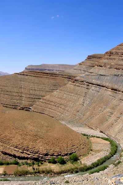 Dades Gorge - Dades tortoise