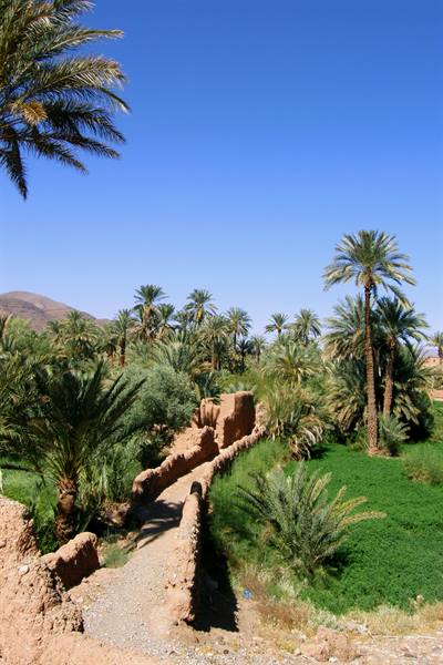 Draa Valley - Ksar Tamnougalt