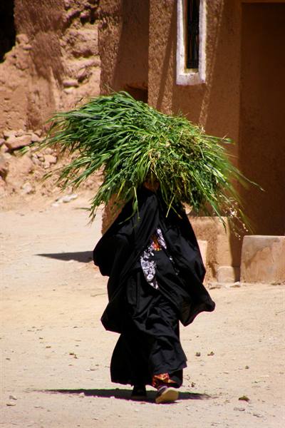 Draa Valley - Kasbah Timiderte