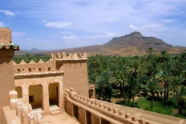 Draa Valley - Kasbah of Cadi Ali
