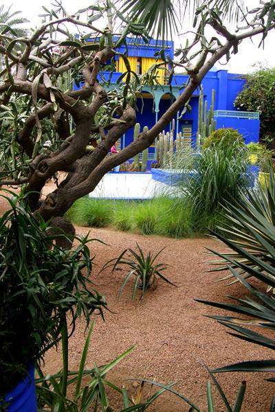 Marrakech - Majorelle Gardens