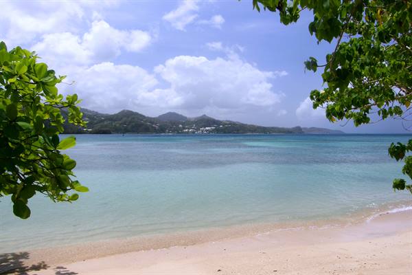 Anse des Raisiniers