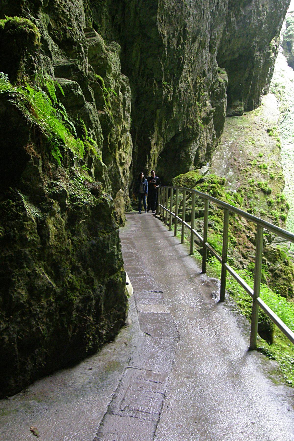 Moravian Karst: Punkevní Jeskyne