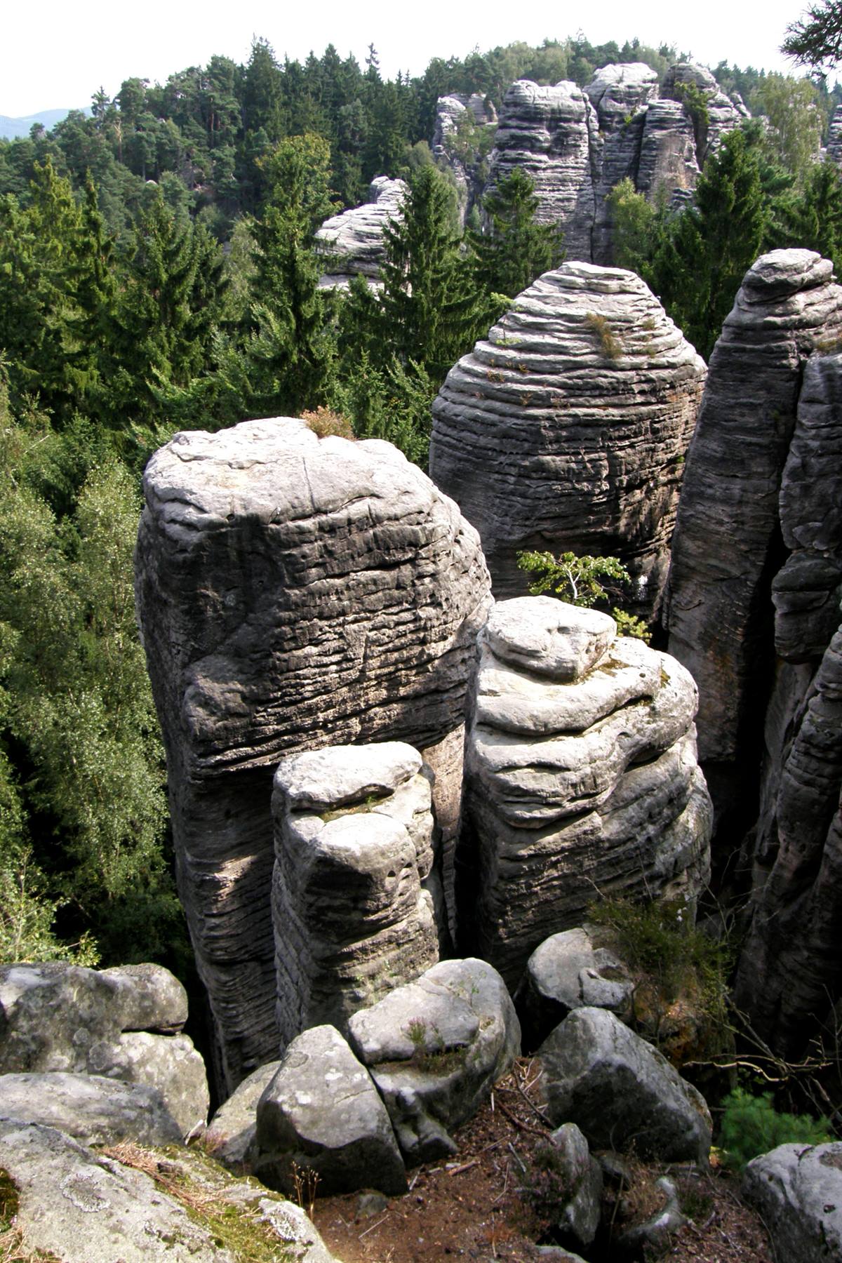 Český Ráj: Prachovské Skály