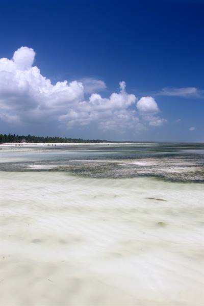 Pwani Mchangani 