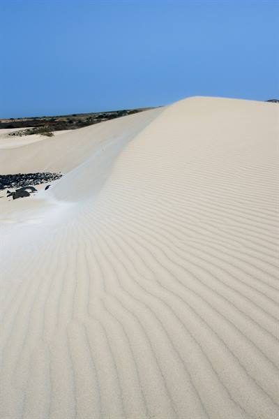 Viana Desert