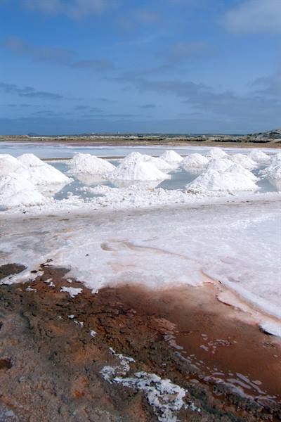 Santa Maria - salt flats