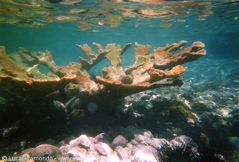 The seabed at Secret Harbour