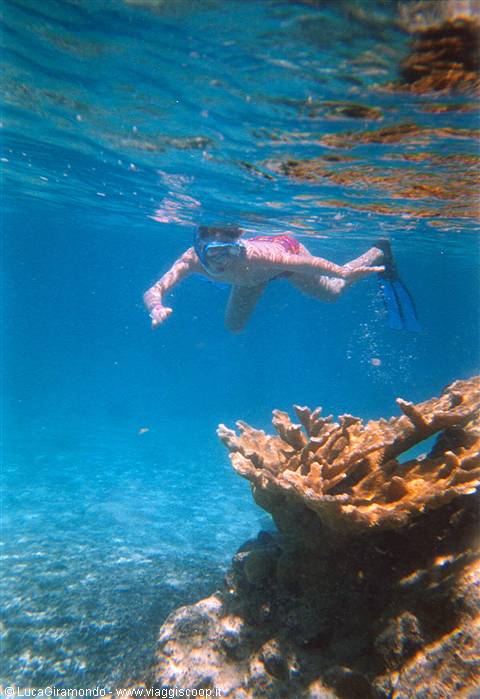 The seabed at Coki Beach
