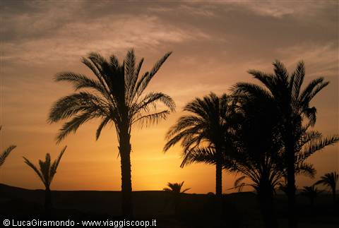 Sunset at Marsa Alam