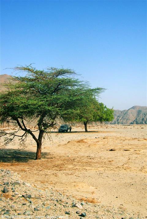 Eastern Desert