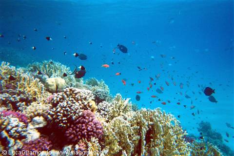 Awlad Barka - The seabed