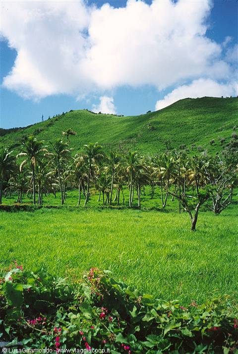 St. Martin - Colombiere