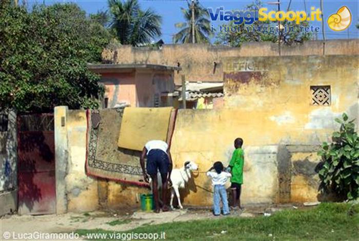 ... along the roads of Senegal