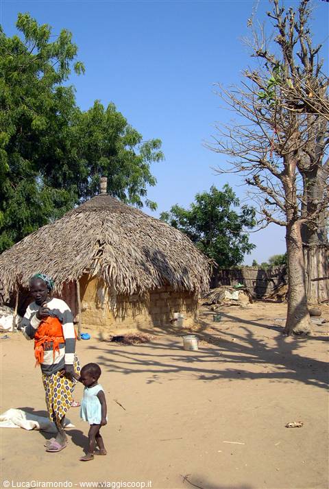 Village in the savannah