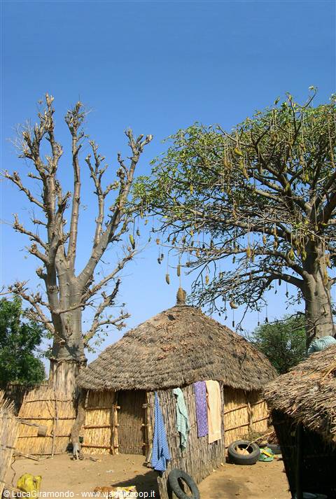 Village in the savannah